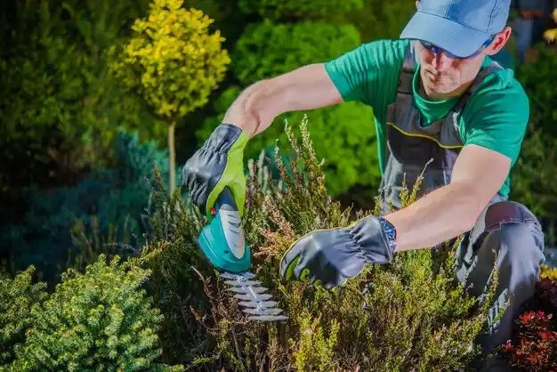 landscaping services Morgan City